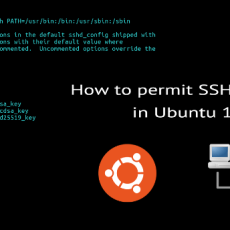 How to set up passwordless SSH access for root user enable root permission